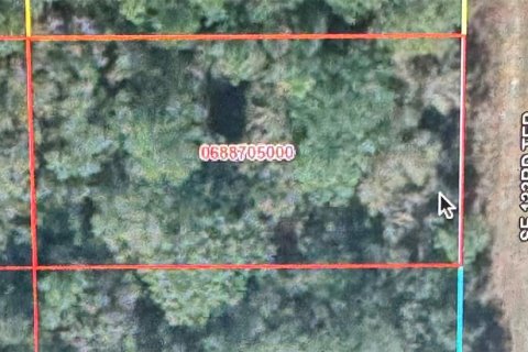 Land in Dunnellon, Florida № 2158910 - photo 2