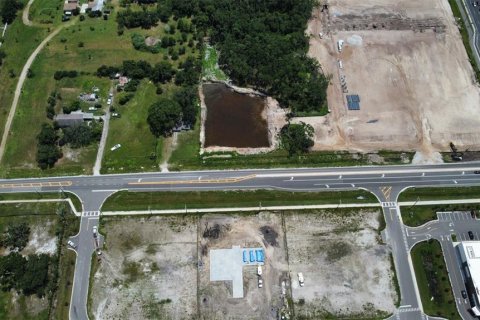 Land in Wimauma, Florida № 1869686 - photo 8