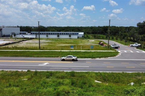 Land in Wimauma, Florida № 1869686 - photo 12