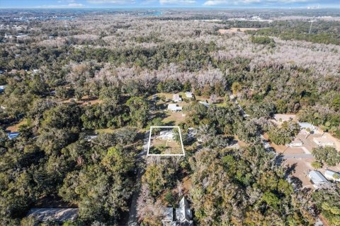 House in Crystal River, Florida 4 bedrooms, 182.92 sq.m. № 1559090 - photo 7