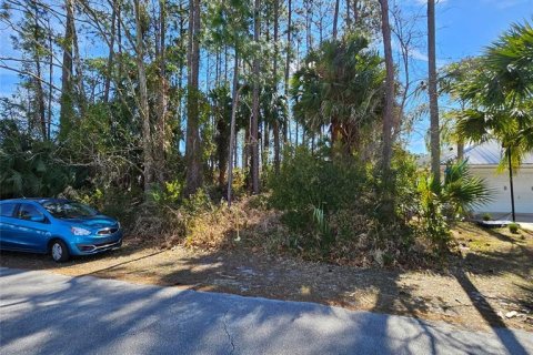 Terreno en Palm Coast, Florida № 2143706