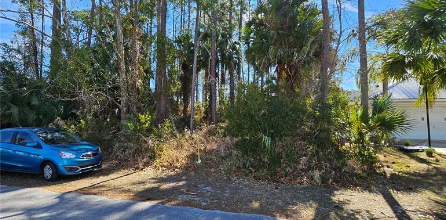 Terreno en Palm Coast, Florida № 2143706