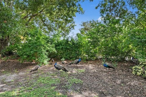 Casa en venta en Clearwater, Florida, 2 dormitorios, 117.06 m2 № 2377478 - foto 5