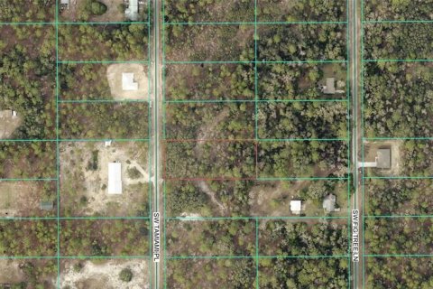 Terreno en venta en Dunnellon, Florida № 2111808 - foto 2