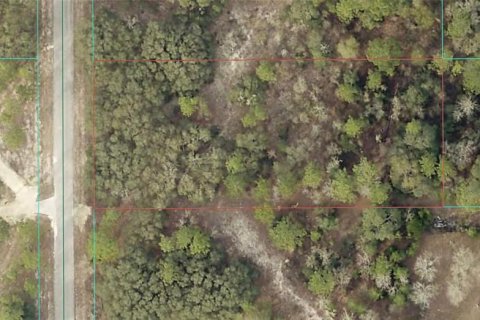 Terrain à Dunnellon, Floride № 2111808