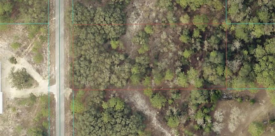 Terreno en Dunnellon, Florida № 2111808