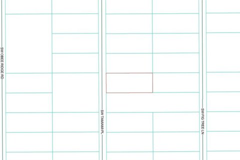 Terreno en venta en Dunnellon, Florida № 2111808 - foto 3