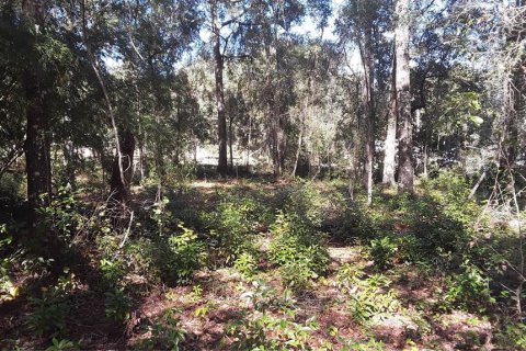 Land in Dunnellon, Florida № 2165089