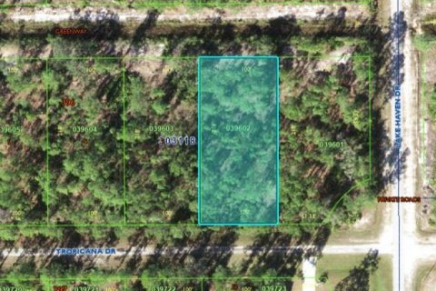Land in Indian lake estates, Florida № 2162016