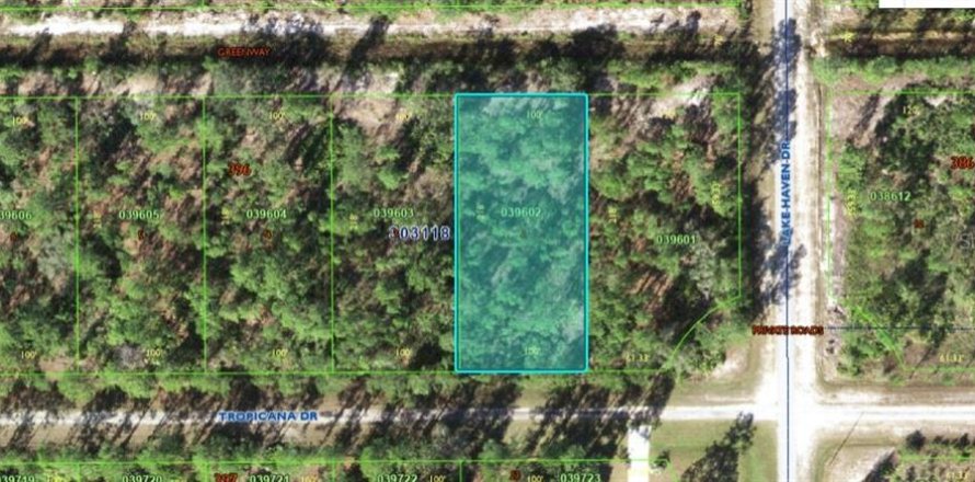 Land in Indian lake estates, Florida № 2162016