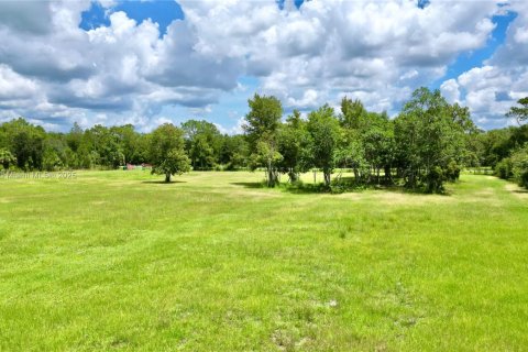 House in Okeechobee, Florida 2 bedrooms № 1888364 - photo 24