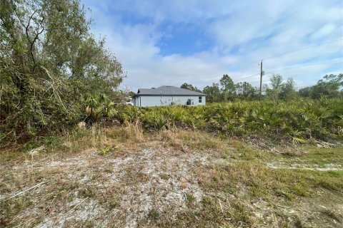 Land in Port Charlotte, Florida № 2165940 - photo 4