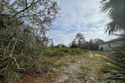 Land in Port Charlotte, Florida № 2165940 - photo 3