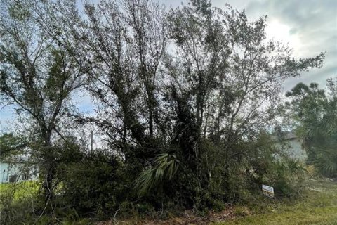 Land in Port Charlotte, Florida № 2165940