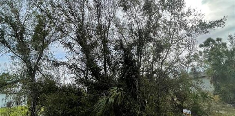 Land in Port Charlotte, Florida № 2165940