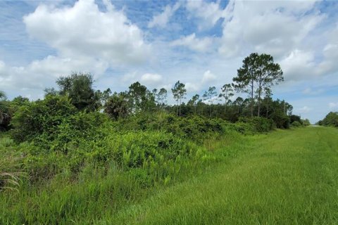 Terreno en Okeechobee, Florida № 2232065