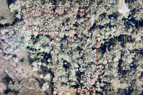 Land in Lake Panasoffkee, Florida № 1884558 - photo 3