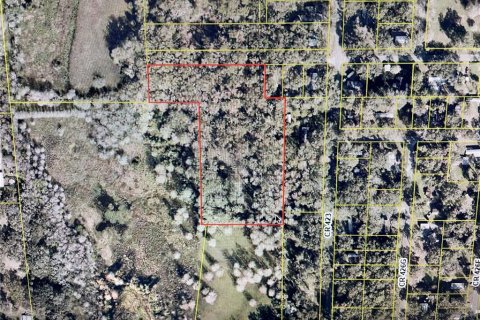 Land in Lake Panasoffkee, Florida № 1884558 - photo 1