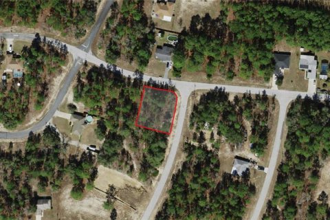 Land in Citrus Springs, Florida № 2162431 - photo 2