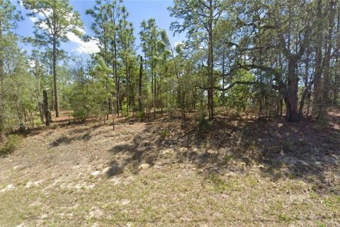 Land in Citrus Springs, Florida № 2162431
