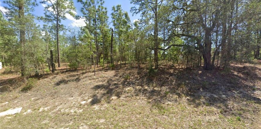 Land in Citrus Springs, Florida № 2162431