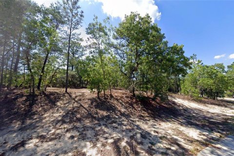 Land in Citrus Springs, Florida № 2162431 - photo 4