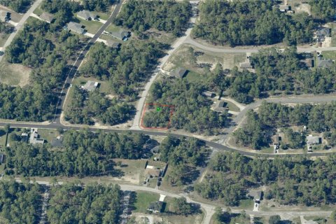 Land in Citrus Springs, Florida № 2162431 - photo 3