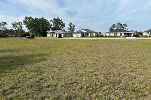 Land in Punta Gorda, Florida № 1543931 - photo 4