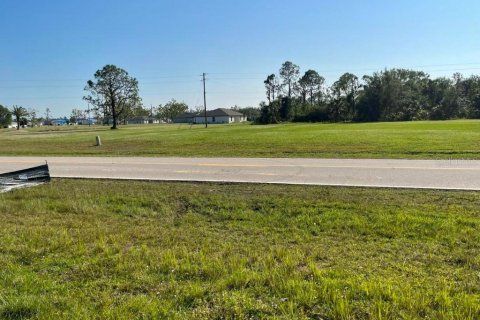 Land in Punta Gorda, Florida № 1543931 - photo 1