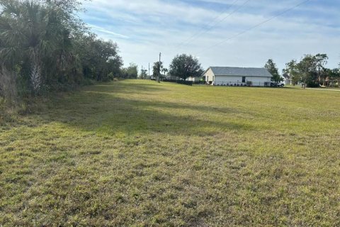 Land in Punta Gorda, Florida № 1543931 - photo 3