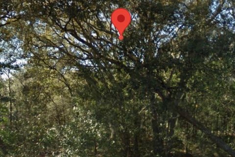 Land in Williston, Florida № 2384146 - photo 4