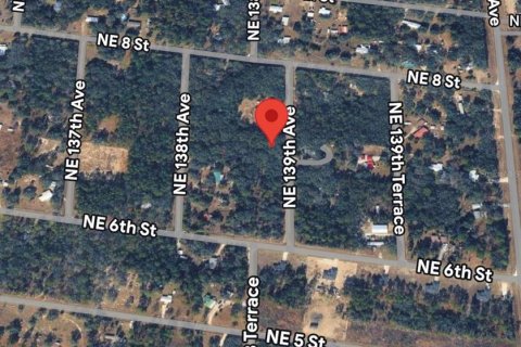 Land in Williston, Florida № 2384146 - photo 2