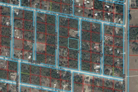 Land in Williston, Florida № 2384146 - photo 6
