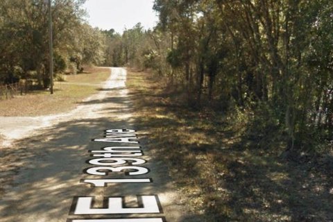 Land in Williston, Florida № 2384146 - photo 3