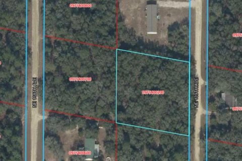 Land in Williston, Florida № 2384146