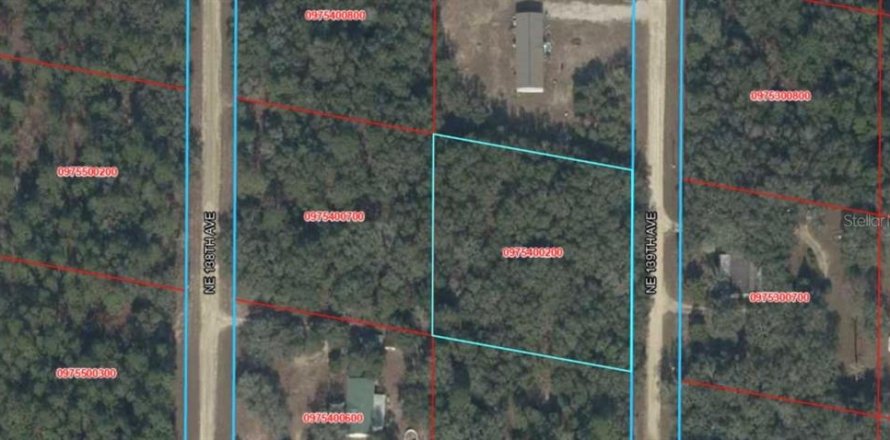Land in Williston, Florida № 2384146