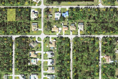 Land in Port Charlotte, Florida № 2159798