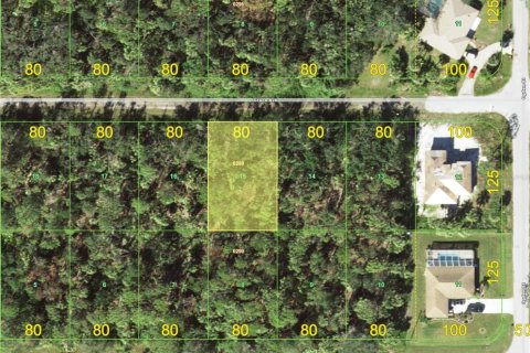 Land in Port Charlotte, Florida № 2159798 - photo 2