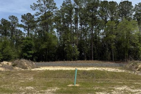 Villa ou maison à vendre à Newberry, Floride: 4 chambres, 298.12 m2 № 2137291 - photo 5