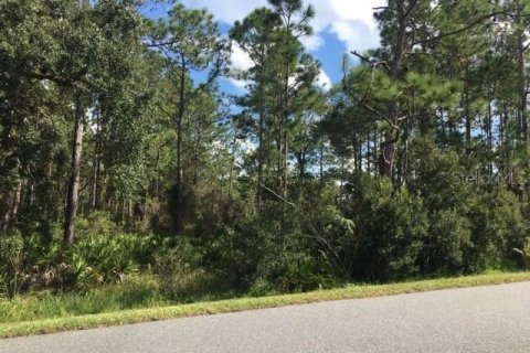 Land in Homosassa, Florida № 1754584 - photo 9