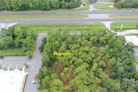 Land in Homosassa, Florida № 1754584 - photo 6