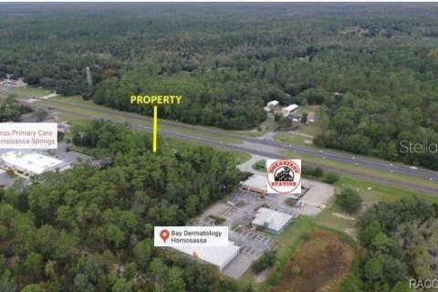 Land in Homosassa, Florida № 1754584 - photo 3