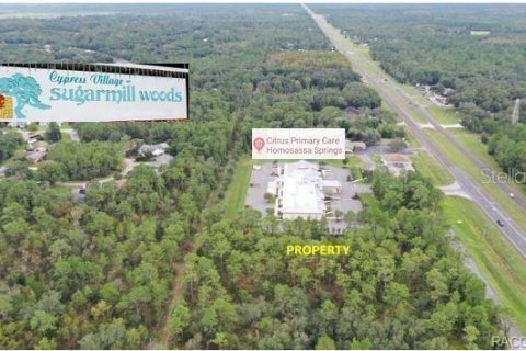 Land in Homosassa, Florida № 1754584 - photo 1