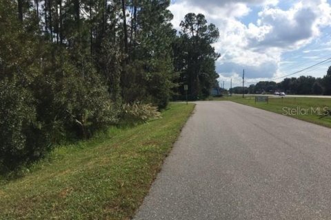 Land in Homosassa, Florida № 1754584 - photo 8