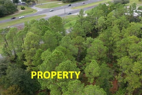 Land in Homosassa, Florida № 1754584 - photo 4