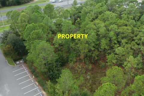 Land in Homosassa, Florida № 1754584 - photo 5