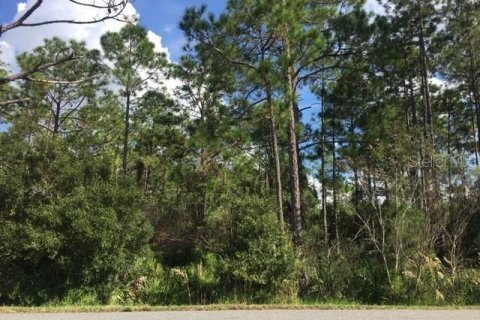 Land in Homosassa, Florida № 1754584 - photo 10
