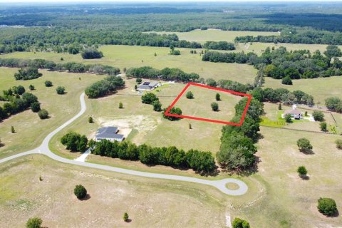 Land in Ocala, Florida № 1885847 - photo 25