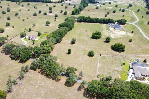 Land in Ocala, Florida № 1885847 - photo 10