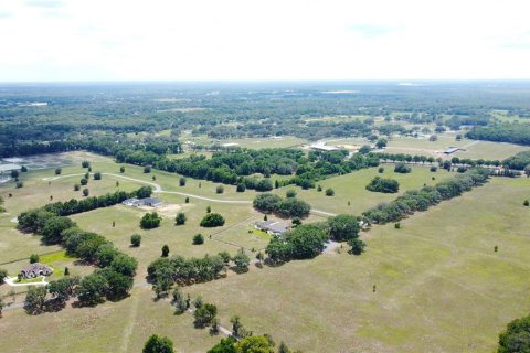 Land in Ocala, Florida № 1885847 - photo 14
